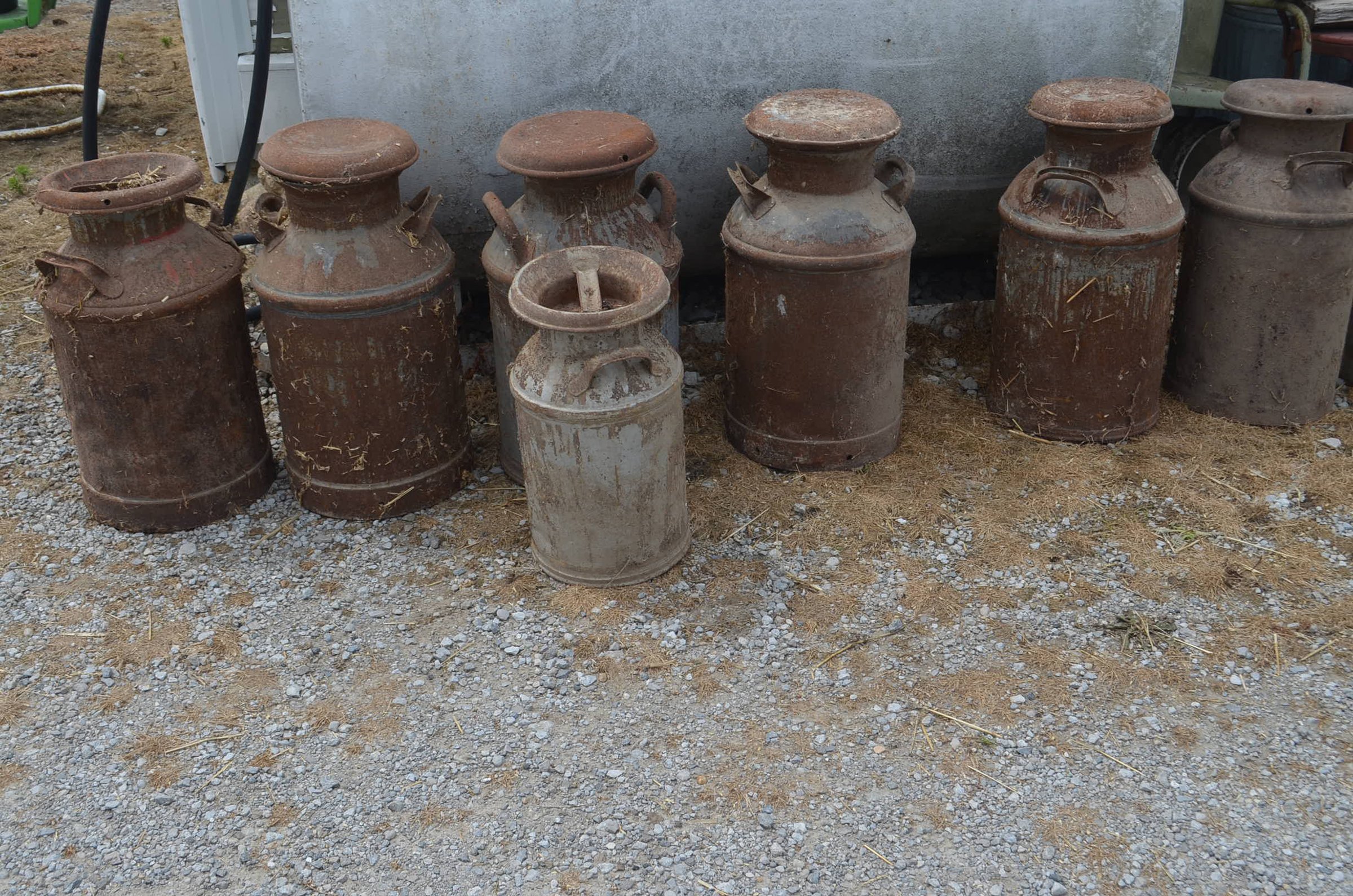 Property photo 245 - PERSONAL PROPERTY ANTIQUE & COLLECTIBLES AUCTION IN DEKALB CO., INDIANA